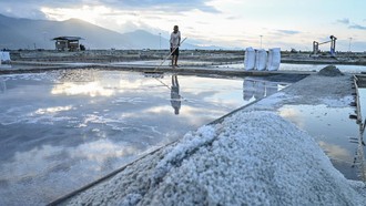 BUMN Ikut Kelola Kawasan Industri Garam di NTT buat Geber Produksi
