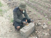 Dikira Patok Tanah, Batu Berelief Tahun 1326 Saka Ditemukan di Nganjuk