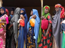 Perang Iran Picu Krisis Baru, Risiko Gizi Buruk Anak Meningkat