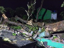 Puting Beliung Terjang Sleman, Atap Beterbangan-Pohon Tumbang