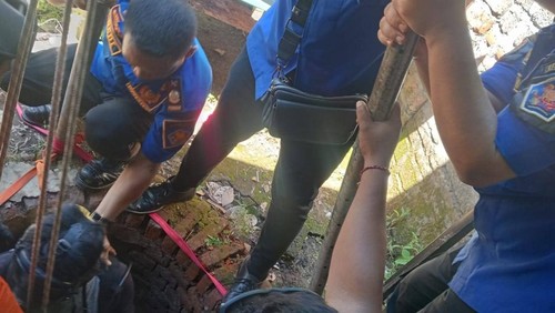 4 Jam Operasi Penyelamatan Sapi Masuk Sumur Sempit di Buleleng