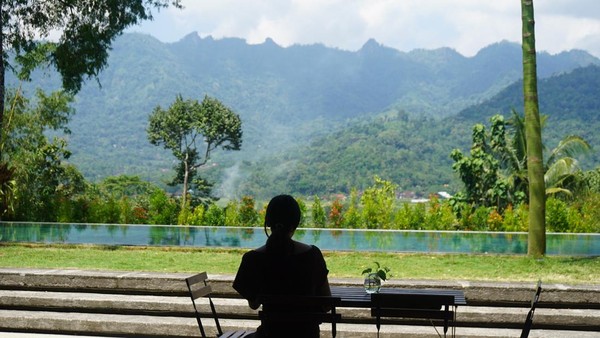 Potret The Setumbu Experience, Oase Hijau Dekat Candi Borobudur