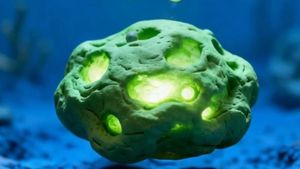 Video: Tumbuhan Apa yang Pertama Kali Tumbuh di Bumi?