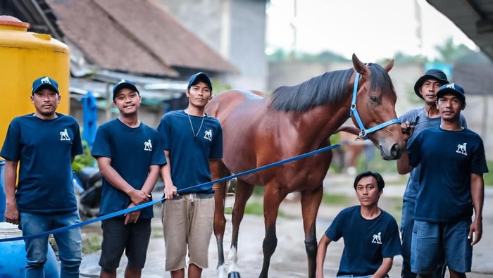 Blue Blood Stable, salah satu stable penghasil kuda terbaik di Indonesia.