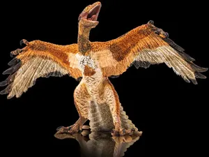 Selama Ini Kita Salah? Fosil Buktikan Burung Dinosaurus yang Masih Hidup