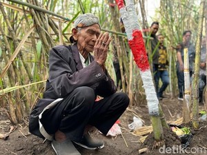 Ritual Petik Tebu Digelar, Kebun Dhoho Resmi Buka Musim Tebang 2026