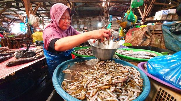 Ikan saluang. (laman Pemkot Palangka Raya)