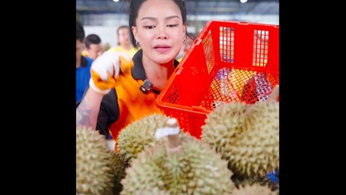 Demi Bantu Petani Durian, Konten Kreator Rugi Rp4,4 Miliar