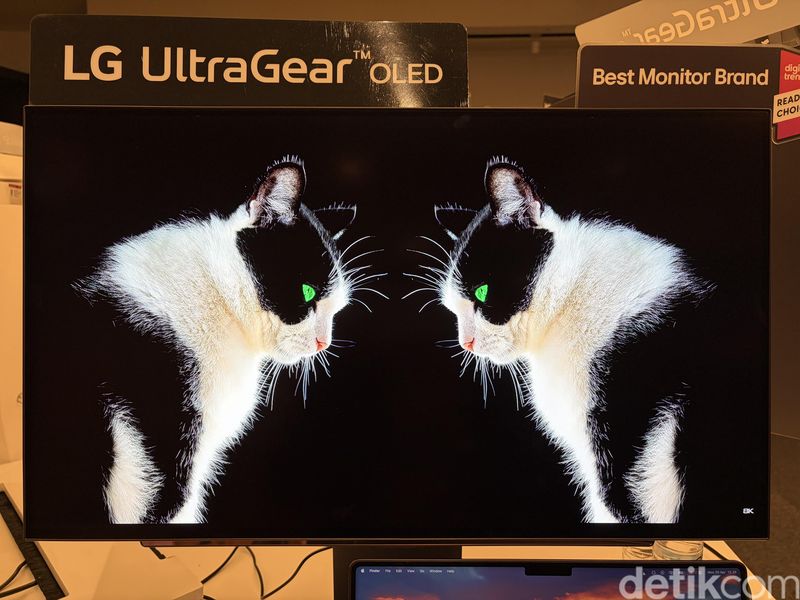 Review LG UltraGear 27GX704A-B: Monitor OLED 240Hz Murah, Visual Nendang!