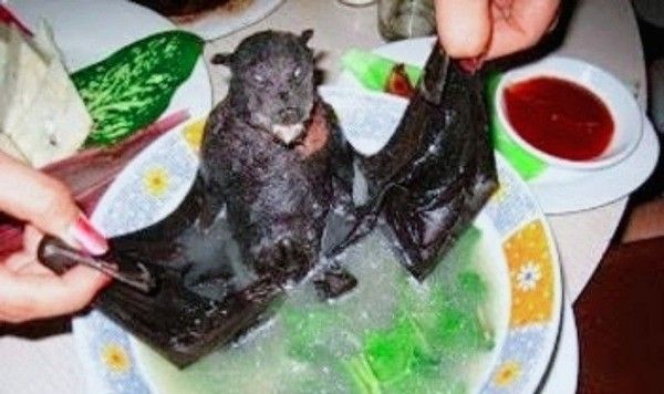 Ekstrem! Walaupun Beracun, 5 Makanan Ini Tetap Populer Dikonsumsi