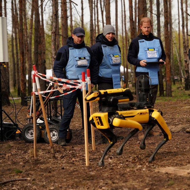 Pangeran Harry Tinjau Upaya Pembersihan Ranjau di Ukraina