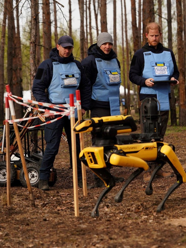 Pangeran Harry Tinjau Upaya Pembersihan Ranjau di Ukraina