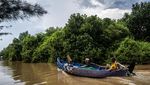 Pesona Mangrove Tapak Semarang, Lindungi Pesisir dan Dongkrak Wisata