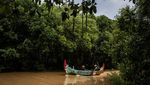 Pesona Mangrove Tapak Semarang, Lindungi Pesisir dan Dongkrak Wisata
