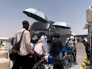 Suhu Madinah Menyengat, Petugas Haji Payungi Jemaah Lansia dari Bandara ke Bus