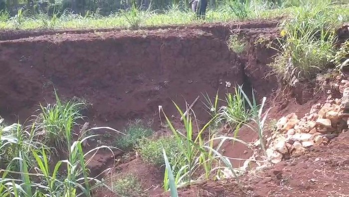Sinkhole Lebar 10 Meter Muncul di Girisubo Gunungkidul
