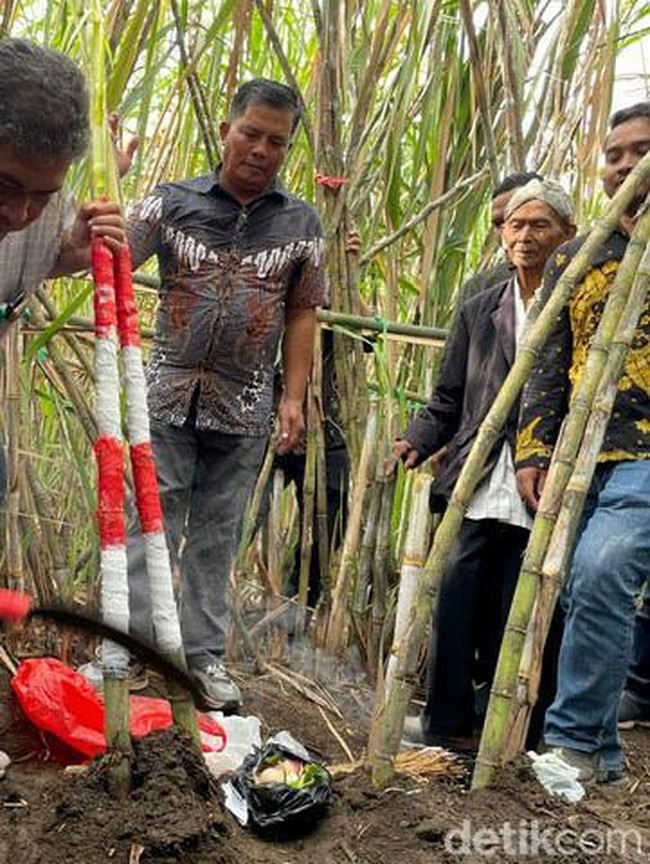 Selamatan Petik Tebu Tanda Dimulainya Musim Giling
