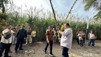 Prosesi berlangsung khidmat di tengah ladang. Dipimpin seorang pemuka adat bersama General Manager KSO Kebun Dhoho, Juni Yanto, ritual ini menjadi titik temu antara kearifan lokal dan dunia industri gula modern.