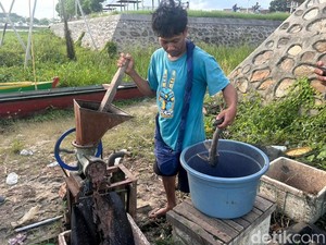 Peternak Bebek di Sidrap Raup Cuan Berkat Olahan Ikan Sapu-sapu Jadi Pakan