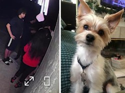 9 Tren TikTok Berbahaya yang Berujung Hilangnya Nyawa