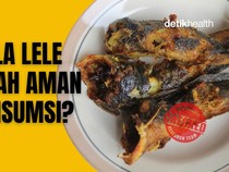 Infografis: Kepala Lele Sering Dipotong-Dibuang, Amankah Dikonsumsi?