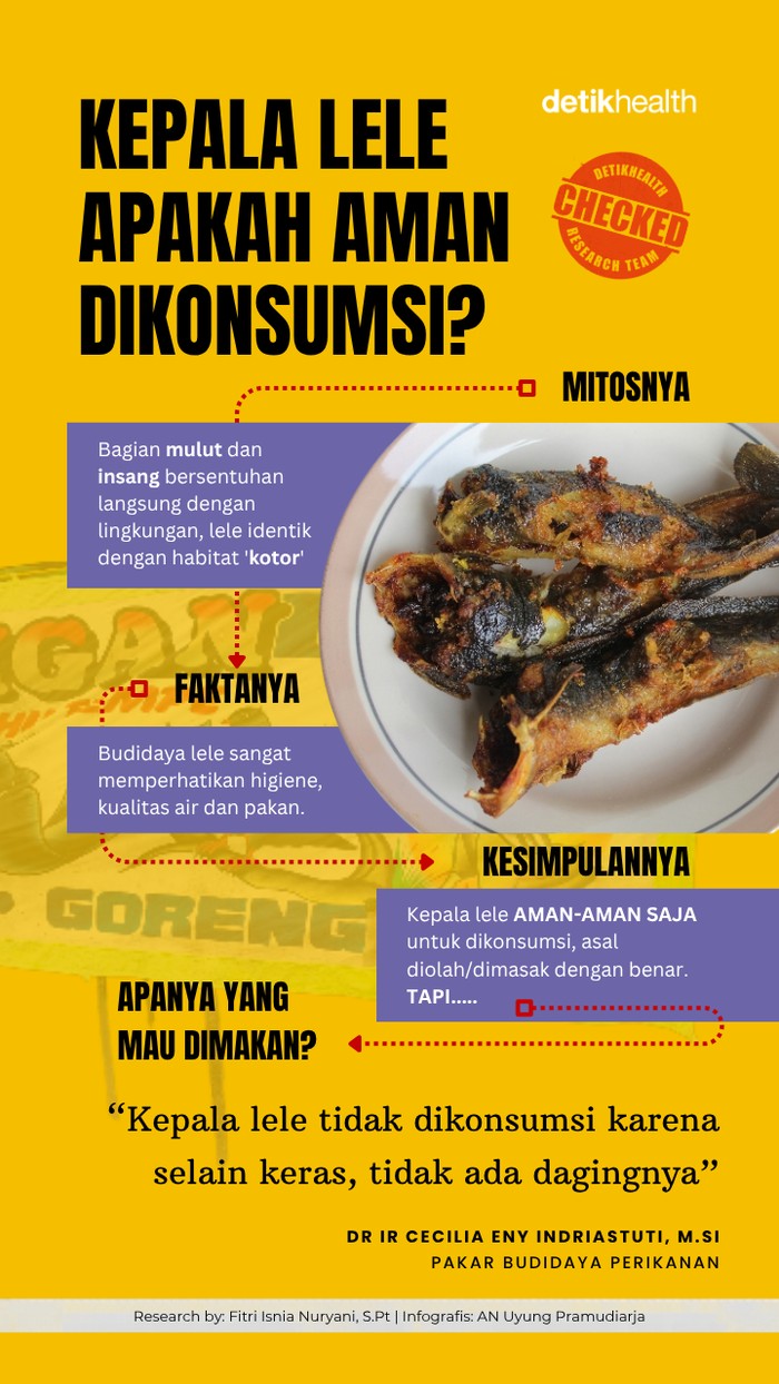 Infografis: Amankah Mengonsumsi Kepala Ikan Lele?