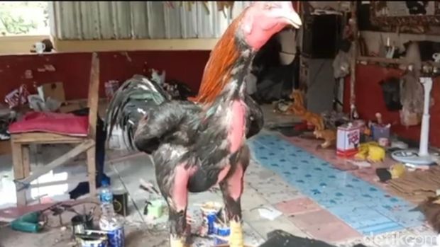 Jayol dan ayam replika buatannya Jayol dan ayam replika buatannya