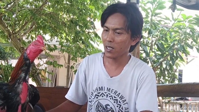 Jayol dan ayam replika buatannya