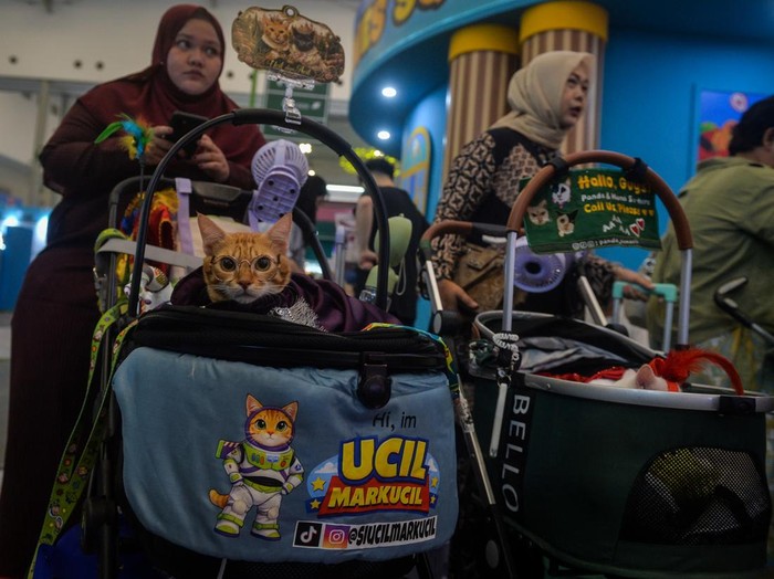 Peserta memperlihatkan anjing peliharaannya saat mengikuti lomba peragaan busana pada pameran Pet Fest Indonesia 2026 di Indonesia Convention Exhibition (ICE) BSD, Kabupaten Tangerang, Banten, Jumat (1/5/2026). Pameran yang berlangsung pada 1-3 Mei 2026 tersebut menjadi ajang pertemuan komunitas pecinta hewan dengan menghadirkan berbagai produk kebutuhan, program adopsi dan kompetisi hewan. ANTARA FOTO/Putra M. Akbar/nym.