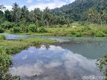Swiss Van Indonesia! Pesona Sungai Binuanga yang Airnya Biru Jernih