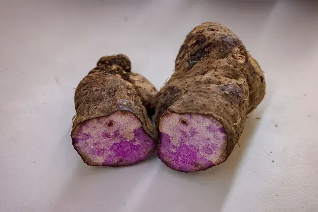 Ube Filipina Jadi Tren Baru, Geser Popularitas Matcha di Dunia Kuliner