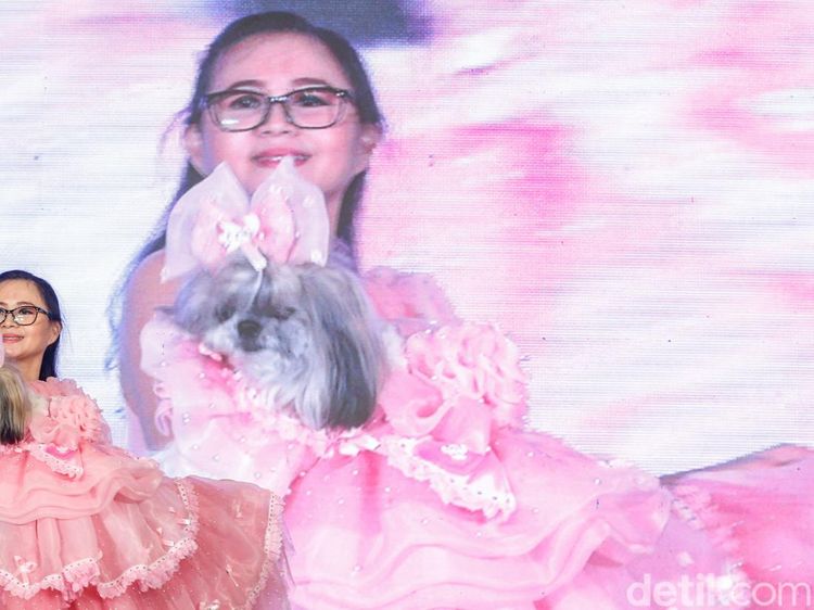 Adu Gaya Hewan Peliharaan Curi Perhatian di PetFest 2026