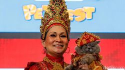Adu Gaya Hewan Peliharaan Curi Perhatian di PetFest 2026