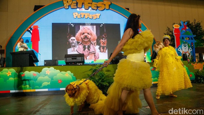 Peserta bersama hewan peliharaannya bersiap mengikuti fashion show di ICE BSD, Tangerang, Jumat (1/5/2026).