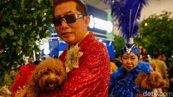 Adu Gaya Hewan Peliharaan Curi Perhatian di PetFest 2026