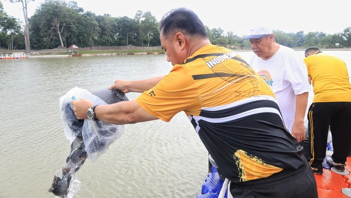 Kapolda dan Gubernur Babel lepas ribuan bibit ikan nila di Taman Bhayangkara Park Polda Babel.
