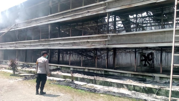 Kebakaran melanda sebuah kandang ayam milik perusahaan di Kecamatan Ciseeng, Bogor. (dok. ist)