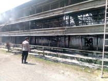 Kandang Ayam di Ciseeng Bogor Kebakaran, 150 Ribu Ekor Dilalap Api