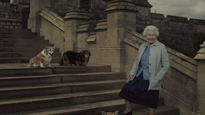 Mendiang Ratu Elizabeth II dikenal karena kecintaannya pada anjing corgi, memiliki lebih dari 30 ekor selama 70 tahun masa pemerintahannya. Foto: Dok.Istimewa