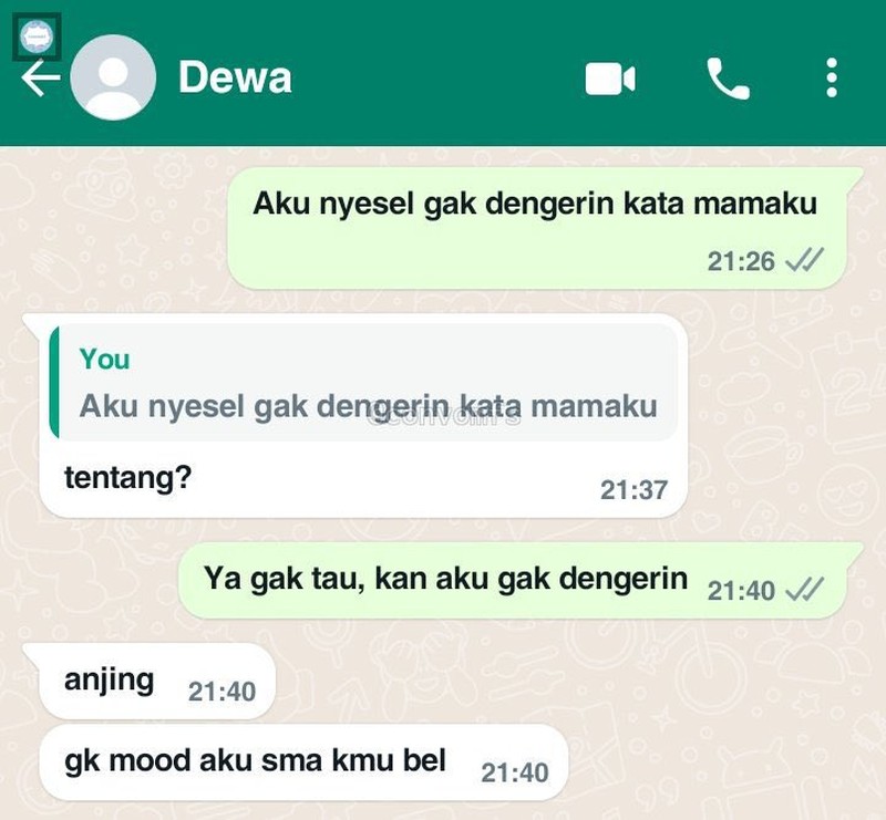 Kumpulan chat kocak