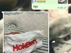 Chat Tak Terduga Netizen Ini Bikin Tertawa Sampai Perut Sakit