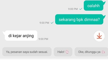 Dikejar anjing... Foto: X.com