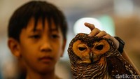 Setelah sukses menarik lebih dari 38 ribu pengunjung pada tahun sebelumnya, PetFest 2026 hadir dengan skala lebih luas dengan melibatkan lebih dari 200 brand dari berbagai kategori industri hewan peliharaan. 