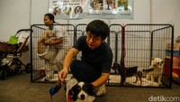 Konsep ini dirancang tidak hanya sebagai pameran, tetapi juga sebagai ruang eksplorasi yang menggabungkan hiburan, interaksi, dan edukasi dalam satu tempat.