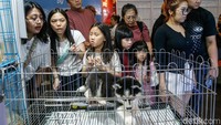 Sejumlah pengunjung mendatangi  PetFest Indonesia di ICE BSD, Tangerang, Jumat (1/5/2026).