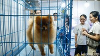 Diketahui untuk masuk ke acara ini pengunjung perlu merogoh kocek seharga Rp50.000 yang mencakup akses ke seluruh area acara. 