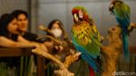 Melihat Pameran Bertema Kota Hewan Petropolis