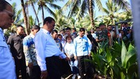 Mentan Sidak di Manado, Temukan Bibit Kelapa Tak Layak-Laporan Tidak Sesuai