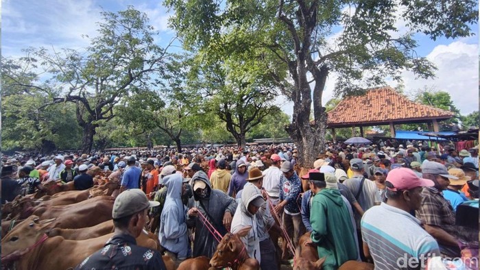 Pasar sapi Pamekasan
