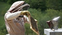 Sioux City Jadi 'Ibu Kota Madu Dunia', Begini Potretnya!